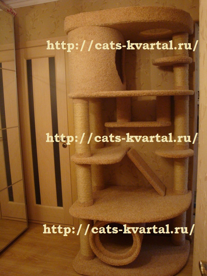 Комплекс для кошек "Персей"-от 35000 руб.