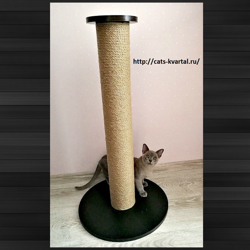 Столбик-когтеточка для кошек "Венге 90см" №16-от 2500 руб 