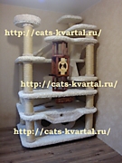 Дизайнерский комплекс для кошек с декором из дерева(сосна)-от 70000 руб.